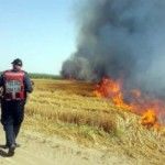 incendies terroristes